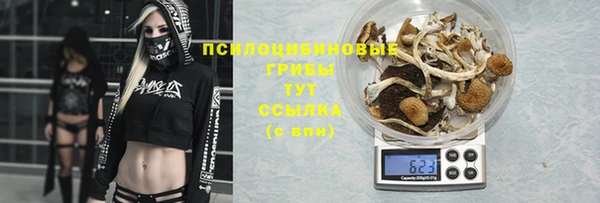 мдма Зеленокумск