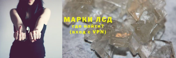 гашик Зерноград