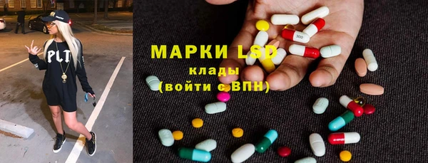 гашик Зерноград